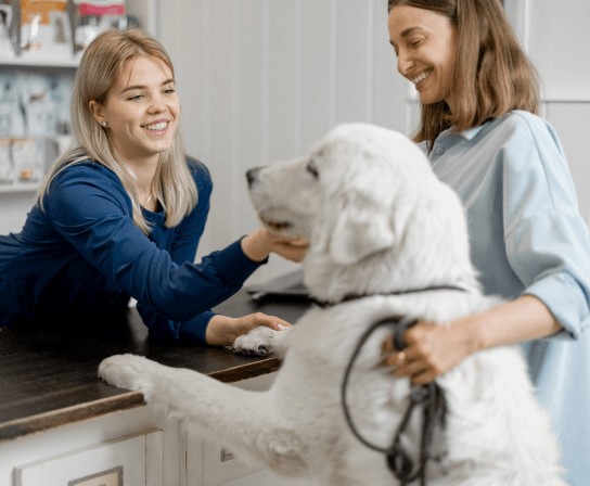 Careers at Olde Naples Animal Wellness Center